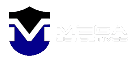 Detective Baja Laboral Madrid Logo